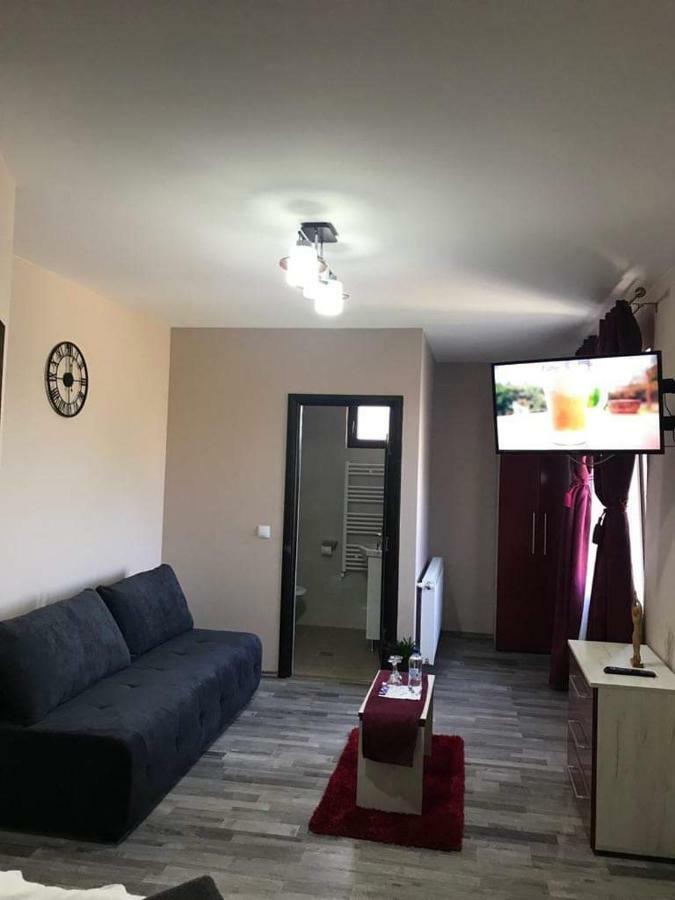 Hotel Wellion à Covasna Extérieur photo